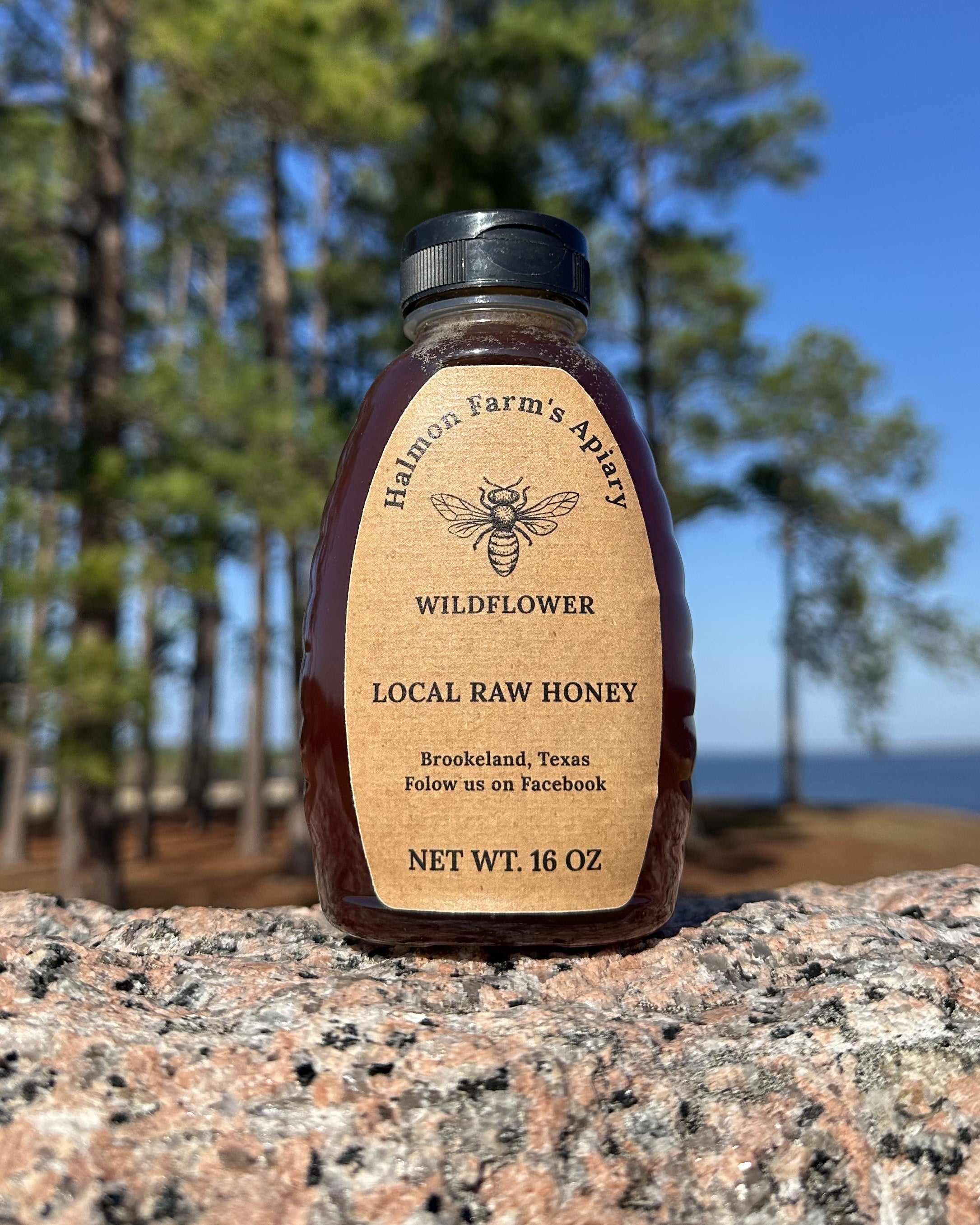 16 oz jar of pure raw local honey from East Texas Halmon Farm's Apiary